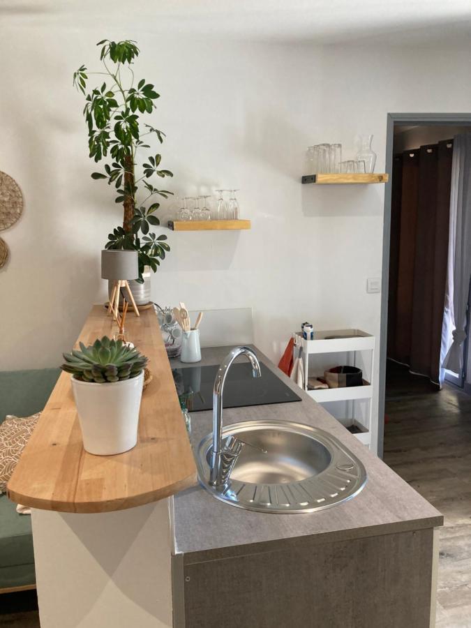 Bienvenue Chez Marie Pierre Leilighet Oloron-Sainte-Marie Eksteriør bilde
